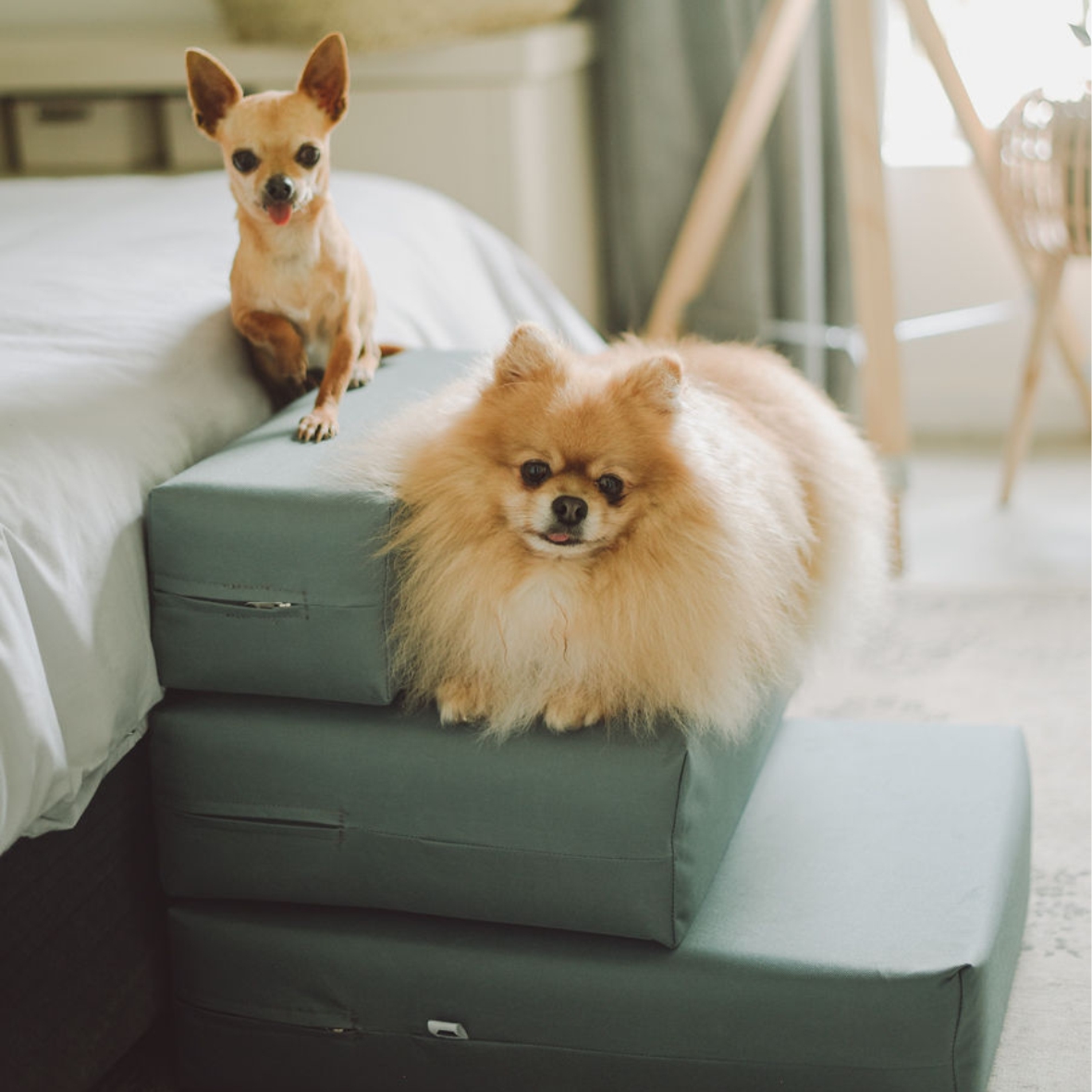 Diy pet deals stairs foam
